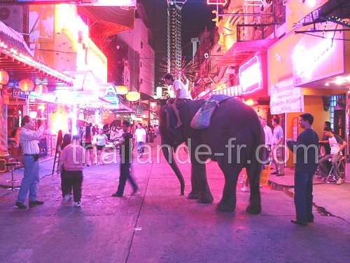 7e7f5c3e elephant bangkok - thailande-fr