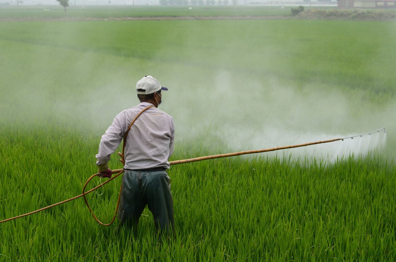 pesticides herbicide - thailande-fr