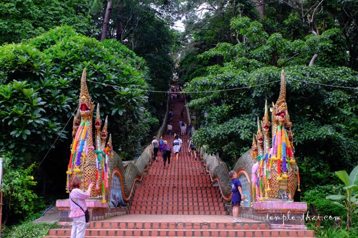 Les cinq plus beaux temples de Chiang Mai 6 - thailande-fr Le célèbre escalier du Wat Phrathat Doi Suthep - thailande-fr