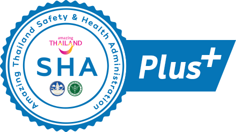 Plus de 200 000 Thailand Pass approuvés pour partir en Thaïlande 3 - thailande-fr 85aaf016 shaplus - thailande-fr