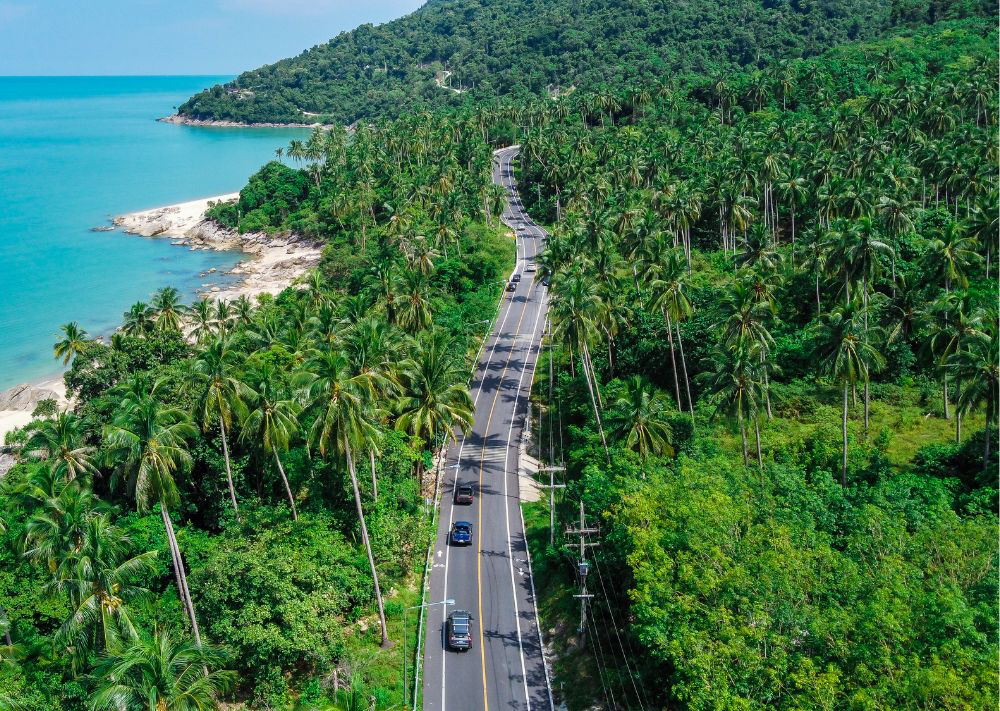 Nakhon Si Thammarat : le paradis environmental de la Thaïlande menacé