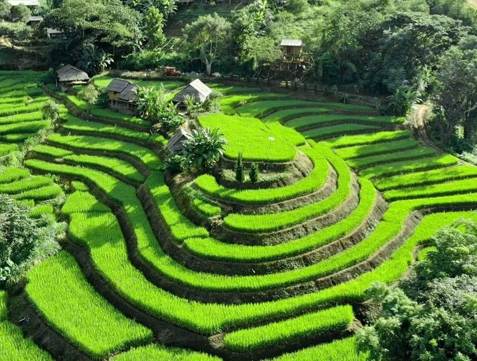 Kowit Farmsaty